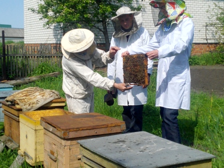 Рабочая профессия "Пчеловод"